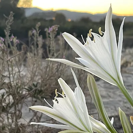 Гостевой дом Sunrise Sardinia 4*